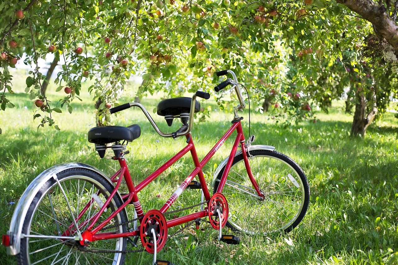 Andar de bicicleta quais os benefícios para a saúde 3