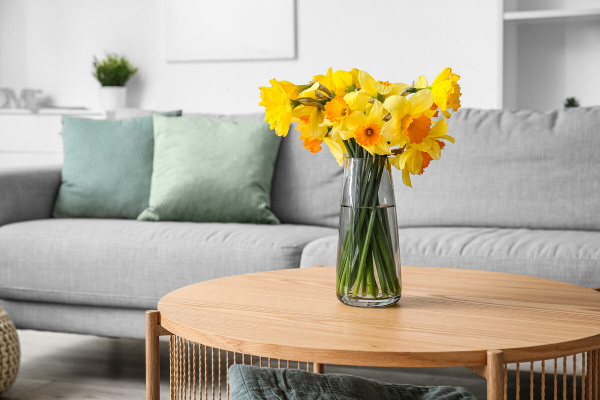 Segredos para Transformar o Lar: Ideias de Decoração