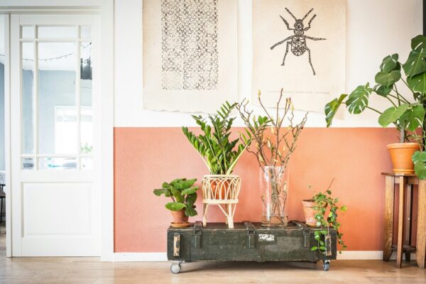 Eletrodomésticos ao melhor preço nesta Black Friday