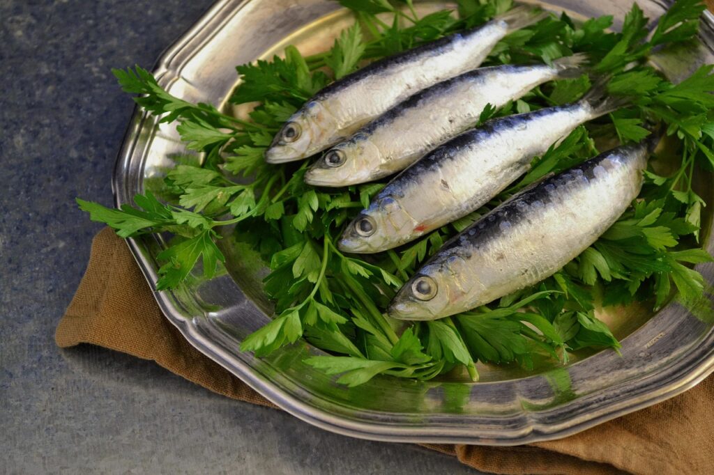 sardinhas frescas